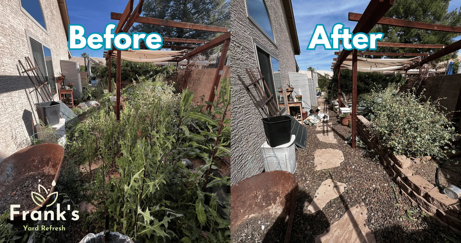 Before and after comparison of a backyard transformation with 'Frank's Yard Refresh' branding.