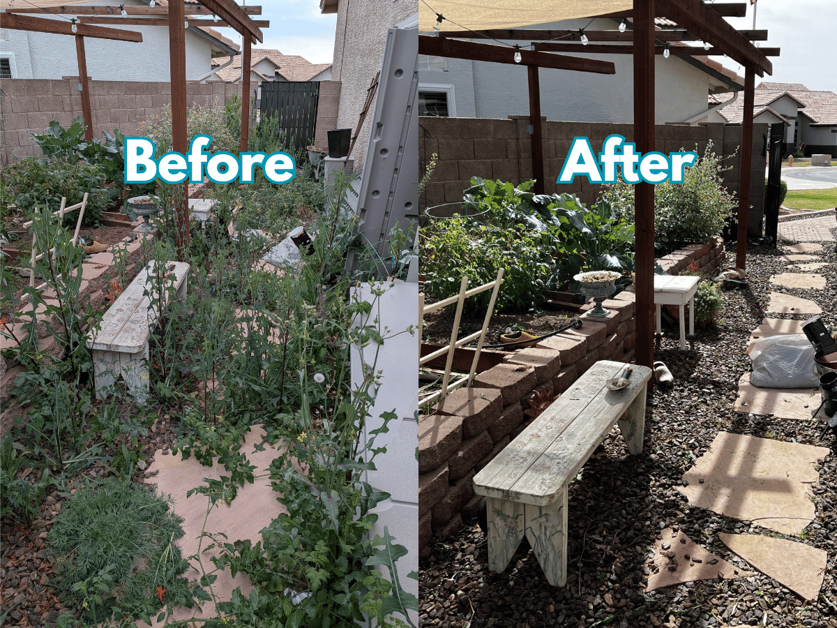 Weed removal project